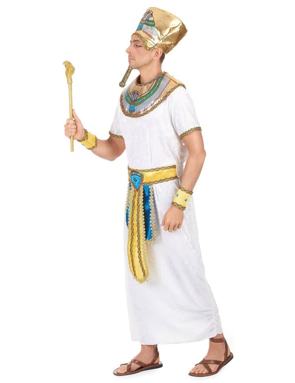 Egyptin kuninkaan asu