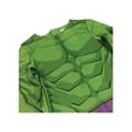 Miniatyrbild 3 av 5: Klassisk Hulk animerad serie kostym - Avengers - Grön - Pojke - Från 5 år