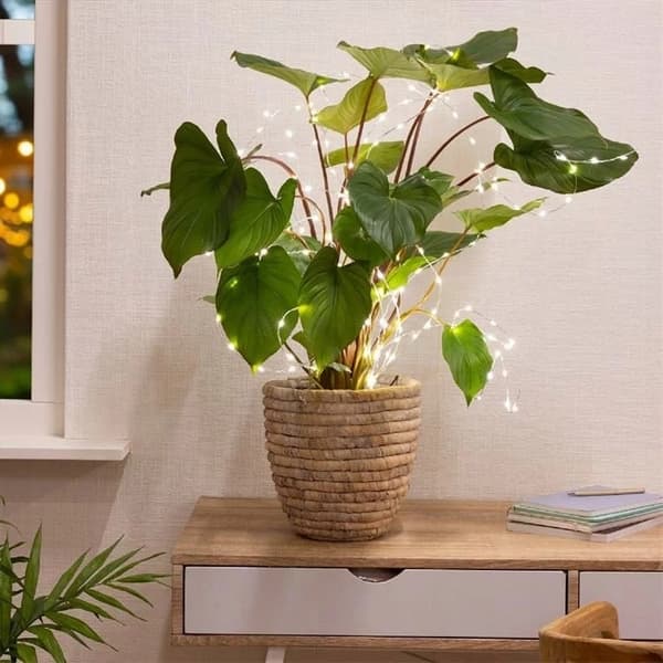 LED-joulukukkavalot koristeelliset 80 cm