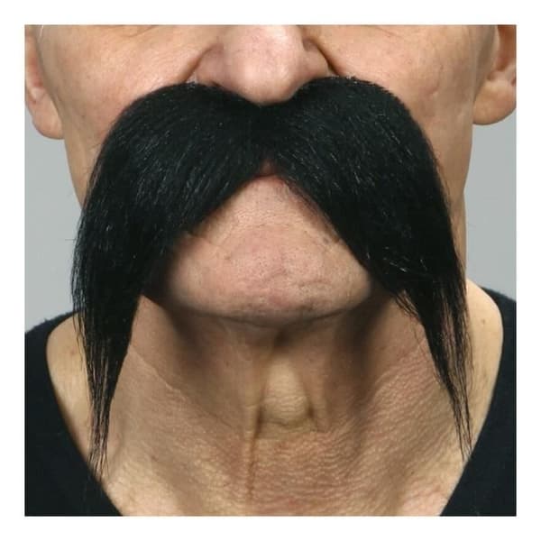 Svart kinesisk mustasch