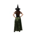 Miniatyrbillede 3 af 7: Kostume til voksne Heks M/L
