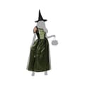Miniatyrbillede 5 af 7: Kostume til voksne Heks M/L
