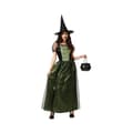 Miniatyrbillede 1 af 7: Kostume til voksne Heks M/L