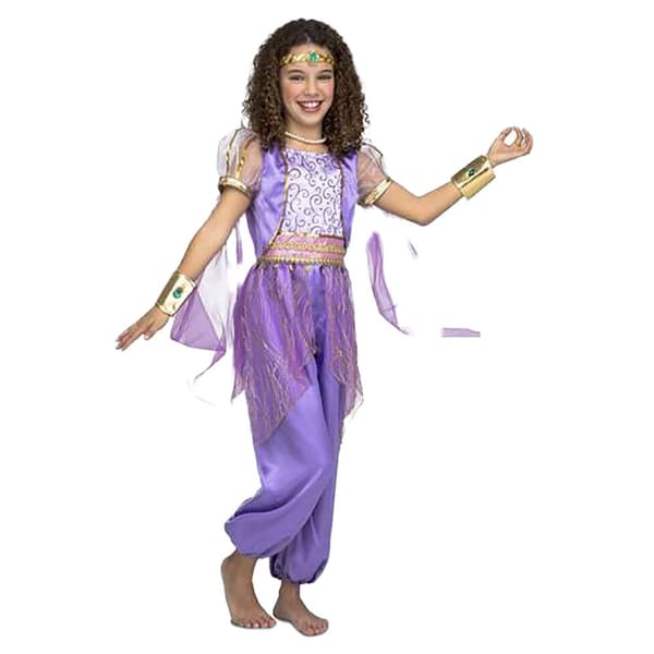 Viving Costumes Arabisk Prinsesse Pige Custom Lilla 3-4 Years