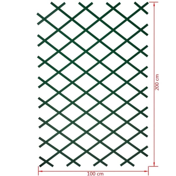 Nature Hageespalier 100x200 cm 6040704