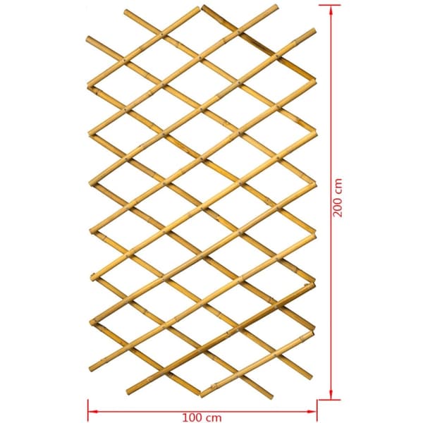 Nature Hageespalier 100x200 cm bambus 6040722