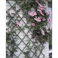 Pikkukuva 2 / 7: Nature Puutarhasäleikkö 50x150 cm PVC Vihreä 6040702