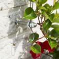 Pikkukuva 3 / 10: Nature Vaijeri Kukkasäleikkö Köynnöskasveille 6040760