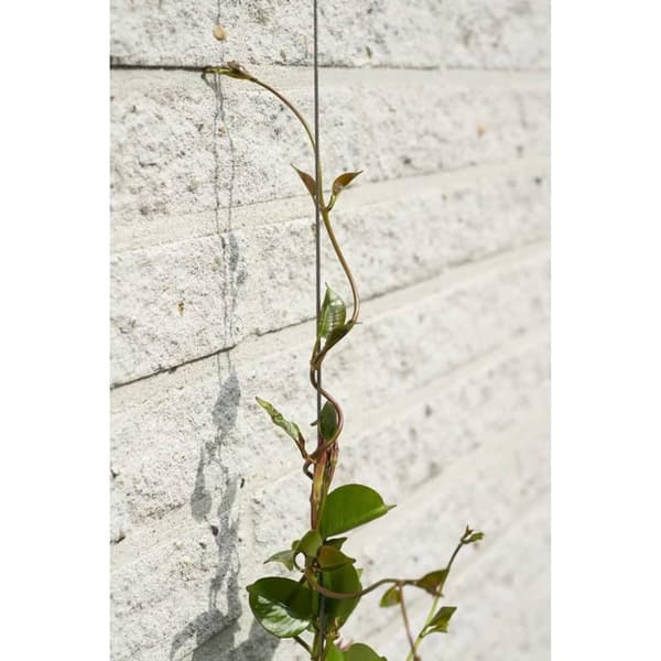 Nature Tråd-espaliesett for klatreplanter 2 stk