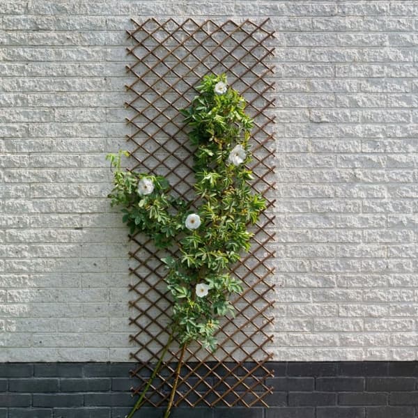 Nature Trädgårdsspaljé 60x180 cm naturlig pil brun