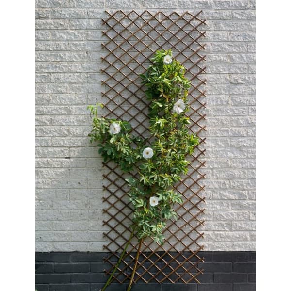Nature Trädgårdsspaljé 60x180 cm naturlig pil brun