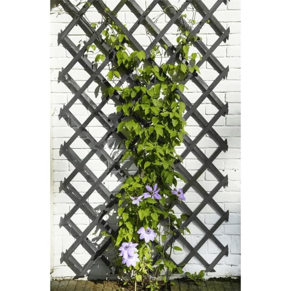 Nature Hageespalier 50x150 cm tre antrasitt
