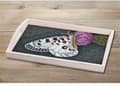 Pikkukuva 2 / 2: Hama Fuse Beads Art Set Butterfly
