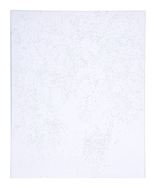 Målning efter siffror 40x50cm Porträtt i blommor Astra