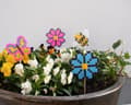 Miniatyrbild 2 av 2: Blomsterpinnar 6 mm 50/fp