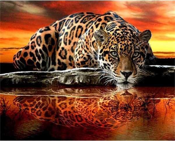Diamond Painting / Diamantmålning 30x40cm - Leopard Vattnet