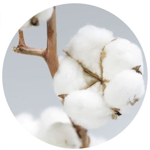 Doftolja 100 ml - Clean Cotton Freshness - För Tvål och Ljus