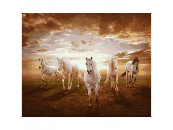 BILLEDMALING EFTER TAL RAMME 50x40cm HESTE I GALOP