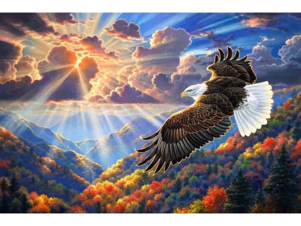 Diamantbroderi, Bild, Diamantmosaik Diamantmålning, EAGLE IN THE SKY 40x30cm