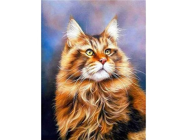 Diamantbroderi, Billede, Diamantmosaik Diamantmaleri, RUDY MAINE COON 30x40cm