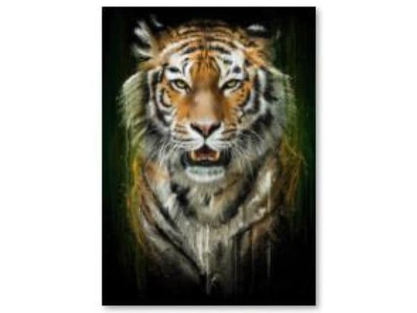 Diamantbroderi, Bild, Diamantmosaik Diamantmålning, TIGER 30x40cm