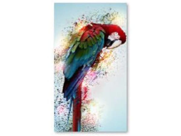 Diamantbroderi, Billede, Diamantmosaik Diamantmaleri, PAPEGOJE 30x40cm