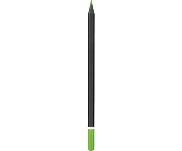 Svarta träpennor 12 färger triangulära Astra 1006