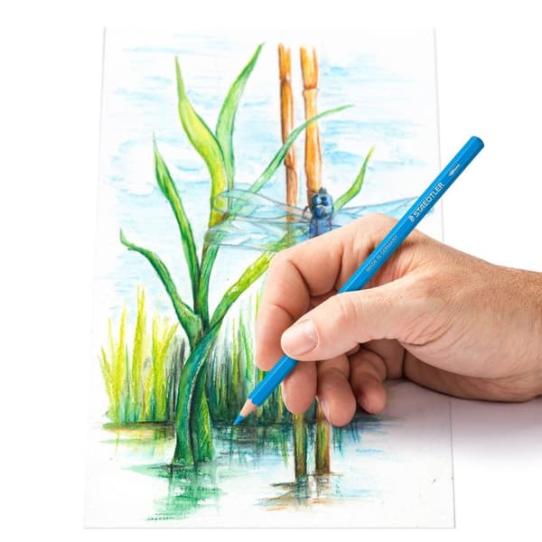 Design Journey Akvarel blyanter 12 farver Staedtler