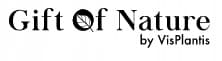 Gift of Nature BB-voide, väri 1, vaalea beige, 30 ml