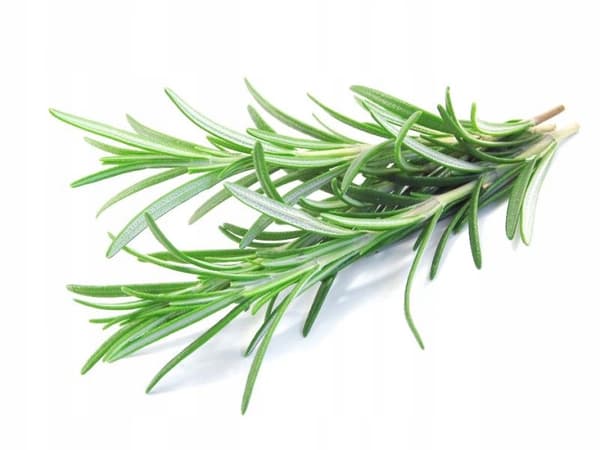 REUMATEK MAX raunioyrtti sideritis luukipu nivelet 200