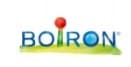 BOIRON DAPIS hyttysten puremien rauhoittava geeli 40 g