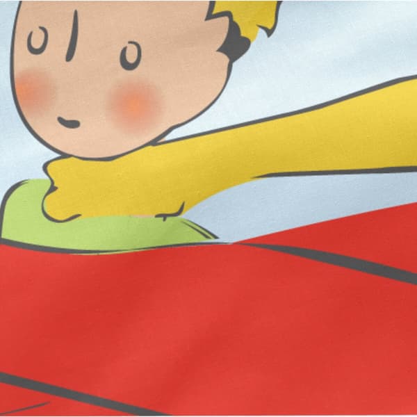 Peitto täytteellä HappyFriday Le Petit Prince Son Avion Monivärinen 105 x 200 cm