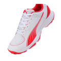 Miniatyrbilde 5 av 5: Puma Mens Spiked Cricket Shoes