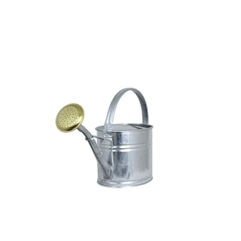 Vattenkanna Oval m. Stril Zink 1,7L