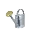 Pikkukuva 4 / 4: Watering Can Oval Zinc 4L