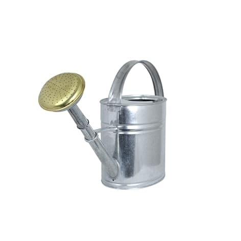 Watering Can Oval Zinc 4L
