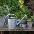 Pikkukuva 2 / 4: Watering Can Oval Zinc 4L