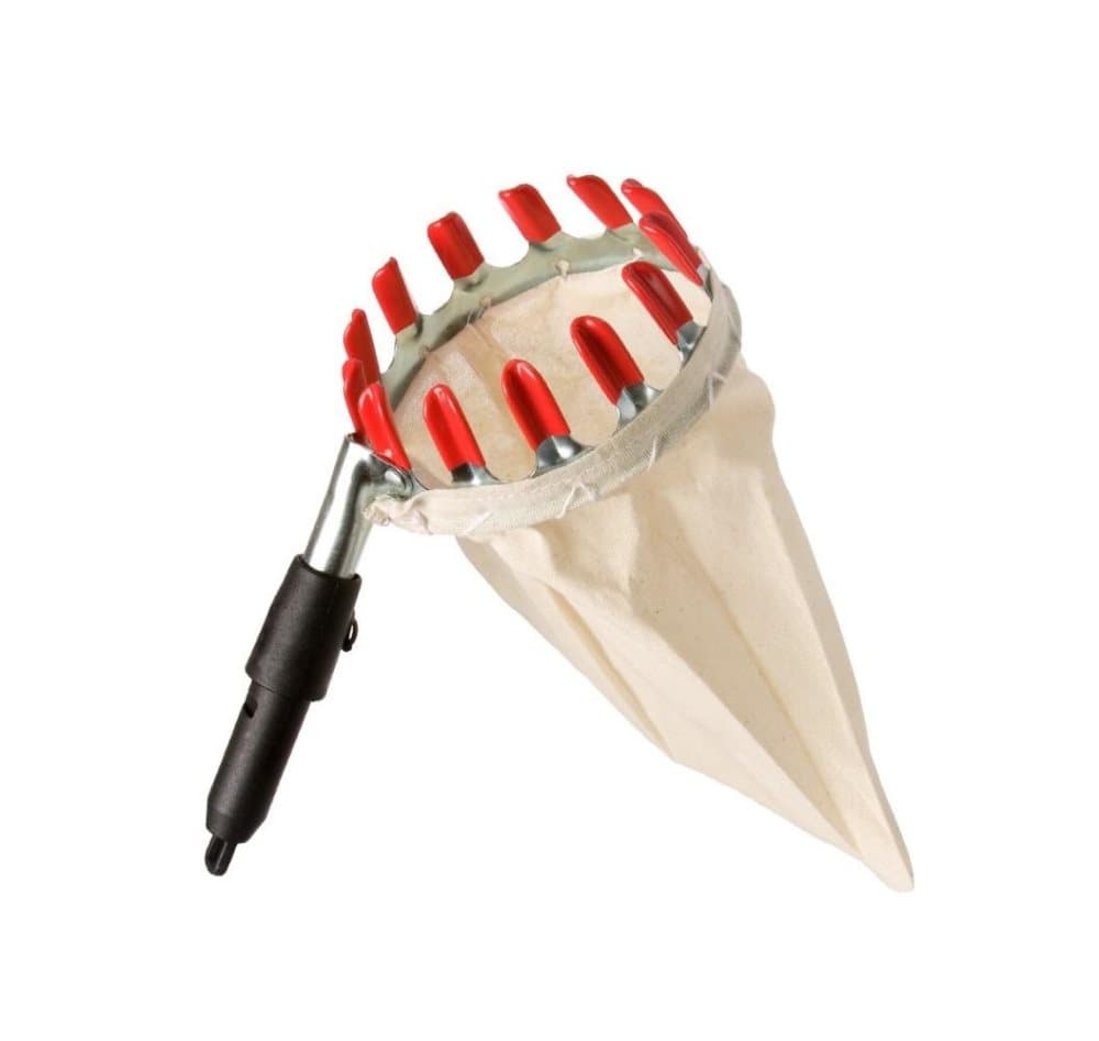 S/T Fruit Pick Basket