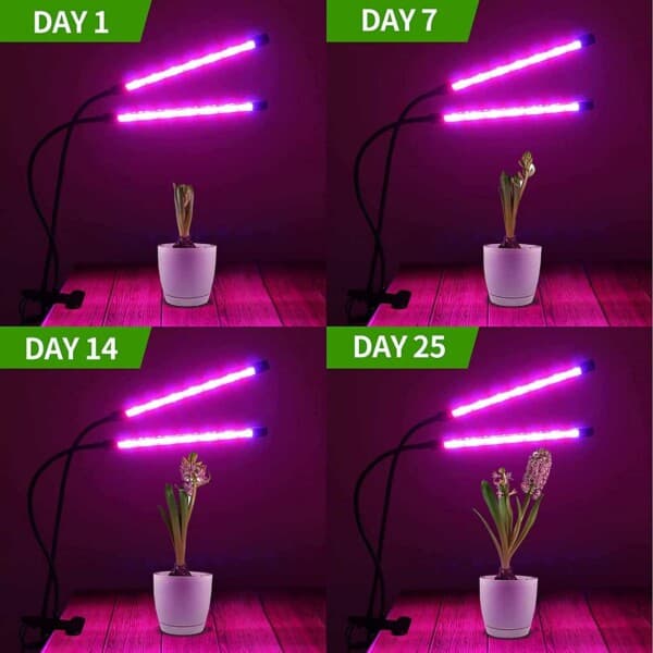LED Växtbelysning – Dubbel Full Spektrum Växtlampa med Klämma