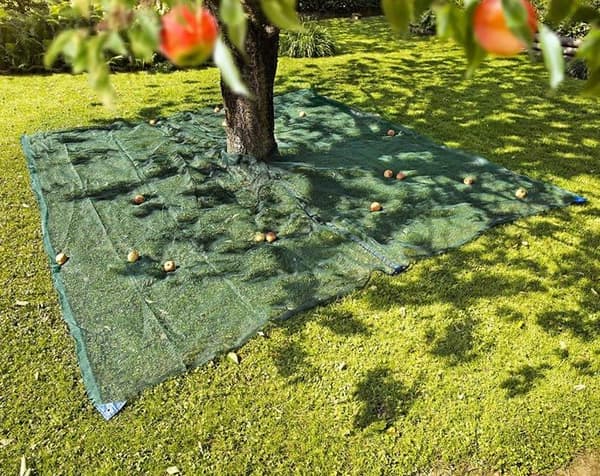 Windhager - 06020 - Skörd för frukt och nötter, skydd, trädgårdsnät, skördare, grön, 4 x 4 m,