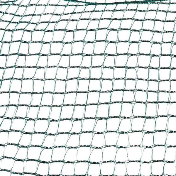 Olive-nät - Werkapro - 6x6m - Fina maskor - Lätt skörd - Hemma användning