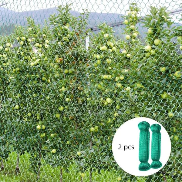 2St Filet Anti Fåglar - Skyddsnät - Grön, 4 x 10m, 4 x 5m - för Växt Skyddsnät Skydda Växter, Frukter