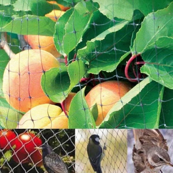4*10m Skyddsnät PR vine Mesh Black Anti-bird skyddar grönsaksväxtfrukt - XY FR