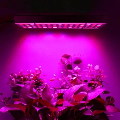 Kasvivalaistus 225 LED-paneeli | Viljelylamppu optimaaliseen kasvien kehitykseen