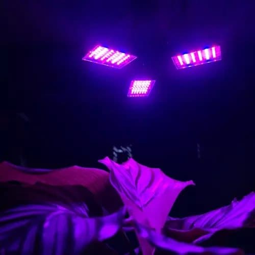 E27 Kasvien valaistus 108 LED