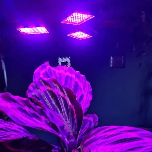 E27 Kasvien valaistus 108 LED