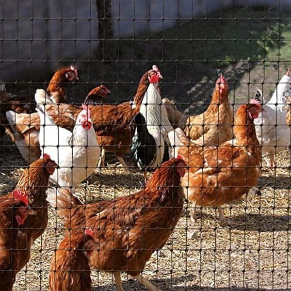 Tenax Plaststaket Cintoflex M 1,50 x 100 m Svart, Staket för husdjur och innergårdar, Lantbruksstaket