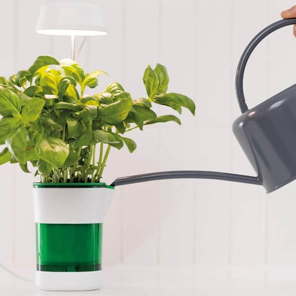 LED-plantelampe med selvvanningspotte - Fullspektret plantebelysning