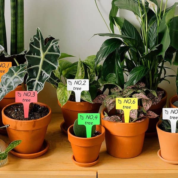 50st Växtetiketter | Plantskyltar för Märkning av Växter