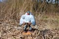 Miniatyrbilde 3 av 5: Figurka Cable Guys Cable Guy - Lion King Rafiki - MER-2668